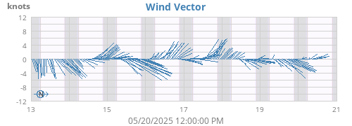 Wind Vector
